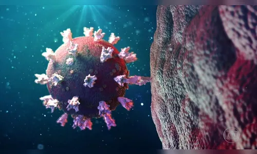 Apucarana não registra nenhum novo caso de Covid-19