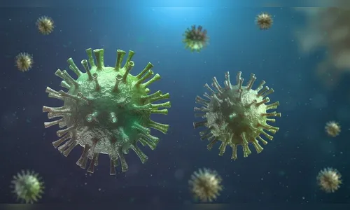 Apucarana não registra nenhum novo caso de Covid-19