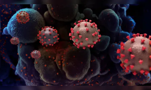 Arapongas não registra casos e mortes por Covid nesta sexta