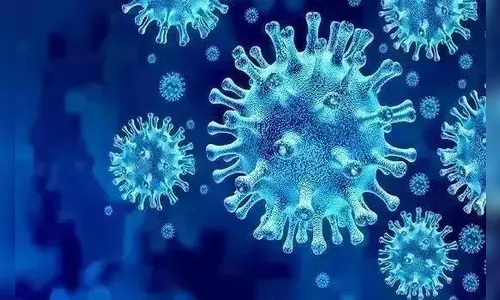 Arapongas registra 01 novo caso de Covid-19 neste domingo