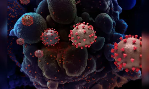 Arapongas registra sete novos casos de covid-19 nesta sexta