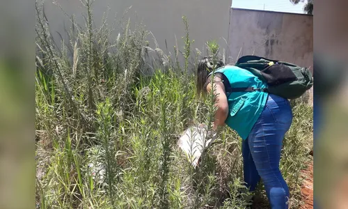 Autarquia de Saúde realiza Dia D da Dengue neste sábado