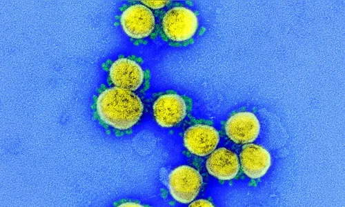 Brasil confirma 35 casos da variante Ômicron