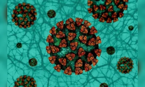 Brasil notifica 205 mortes por covid-19 em 24 horas