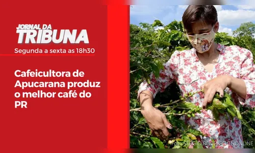 Cafeicultora de Apucarana produz o melhor café do PR