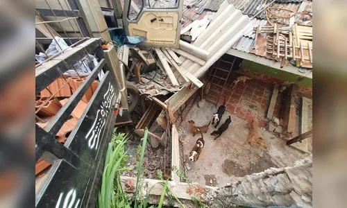 Caminhão perde freio e atinge abrigo de animais no PR