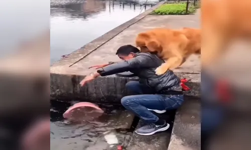 Cão impede que peixes sejam cortados e vídeo viraliza