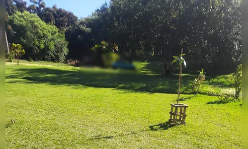 Casal é flagrado em 'momento íntimo' em parque da região