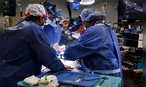 Cirurgiões transplantam um coração de porco em um humano