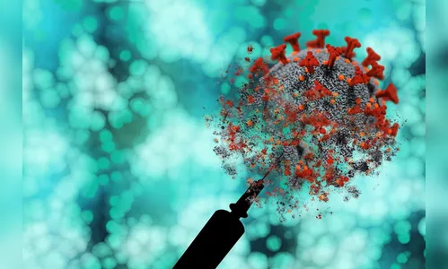 Confira o esquema vacinal nesta quarta (29) em Apucarana