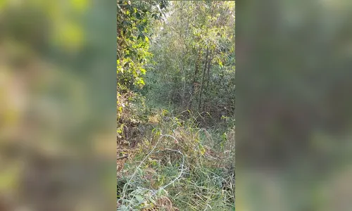 Corpo é encontrado na zona rural de Sabáudia