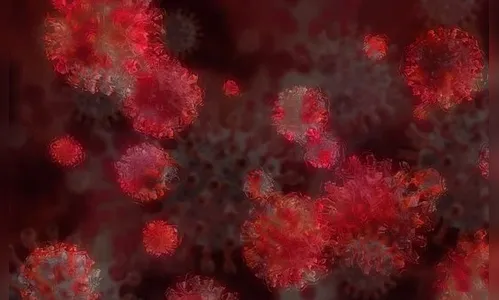 Covid-19: Arapongas não registra casos e óbitos