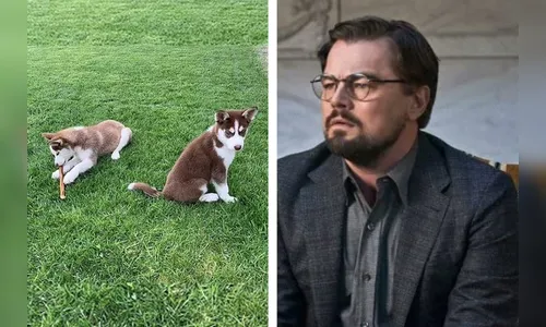 DiCaprio pulou em lago congelado para salvar seus cachorros