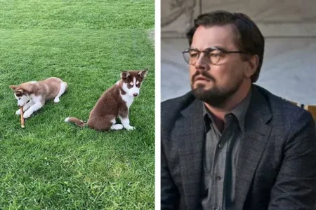 DiCaprio pulou em lago congelado para salvar seus cachorros