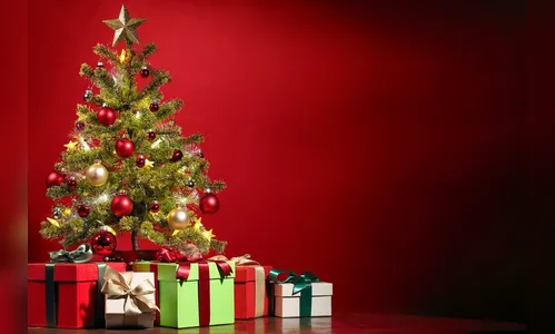 Dicas para preparar um Natal agradável para sua família