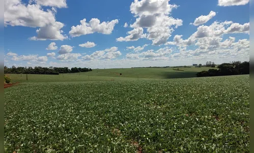 Tempo seco preocupa produtores de soja e milho
