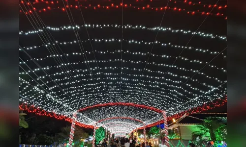 Família decora rua sem saída com 1 milhão de lâmpadas no PR