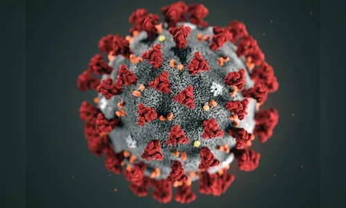 Flurona: infecção de covid e influenza é detectada em Israel