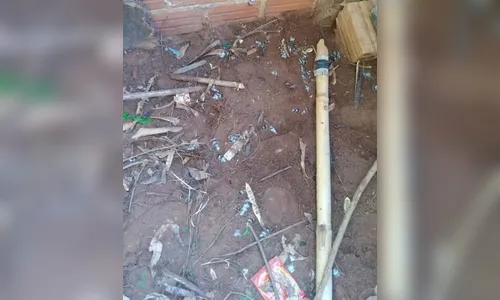 Homem é preso cozinhando galinha e galo do vizinho; vídeo
