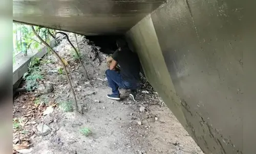 Homem é preso pela 2ª vez por abusar sexualmente de cães