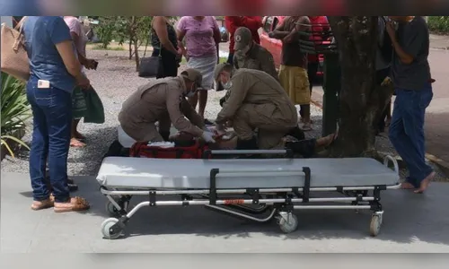 Homem mata o próprio cão para interromper ataque à vizinha