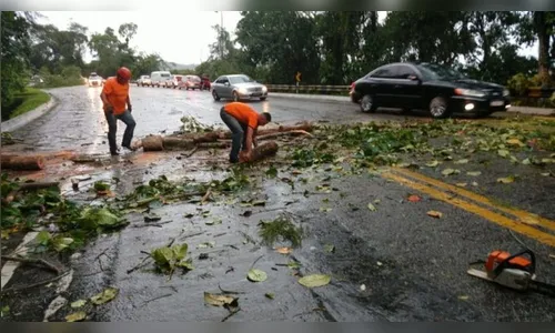 Homem morre eletrocutado após pisar em fios de rede elétrica