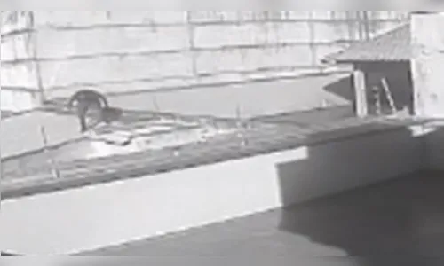 Homem pede água e tenta assaltar mulher em Apucarana