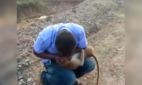 Homem salva macaco com respiração boca a boca após ataque