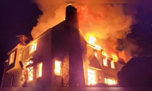 Homem tenta se livrar de cobras e casa pega fogo