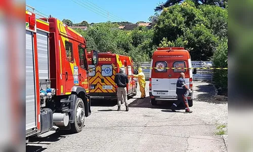 Idoso tenta manejar abelhas e fica gravemente ferido no PR