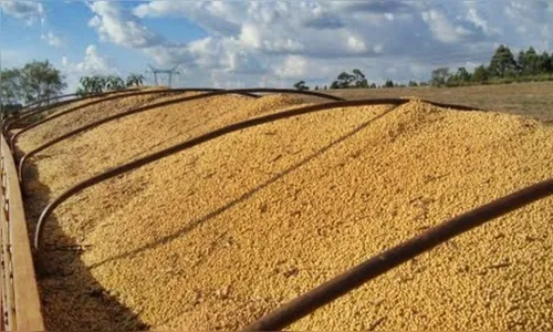 Caminhoneiro é feito refém e tem carga de soja roubada