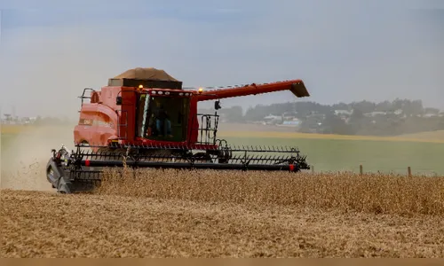 Quebra da safra de soja pode passar de R$ 1 bilhão na região