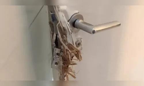 PM registra arrombamento e furtos em Jardim Alegre