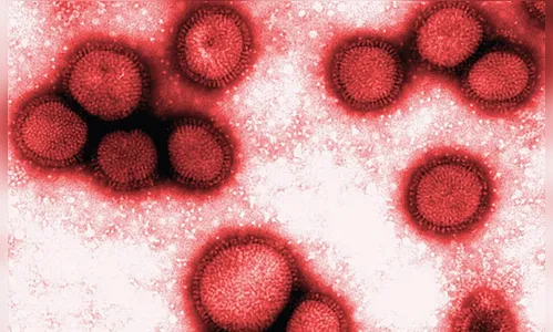 Londrina confirma primeira morte causada pela gripe H3N2