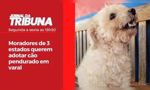 Moradores de 3 estados querem adotar cão pendurado em varal