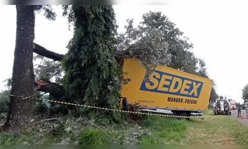 Motorista morre após colidir caminhão dos correios em árvore