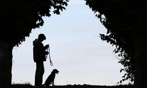 Mulher morde outra durante briga sobre como disciplinar pet