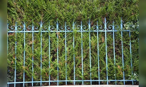 Mulher reconhece grades furtadas de casa e chama PM