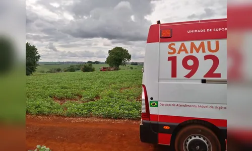 Casal é atacado por enxame de abelhas em Ivaiporã