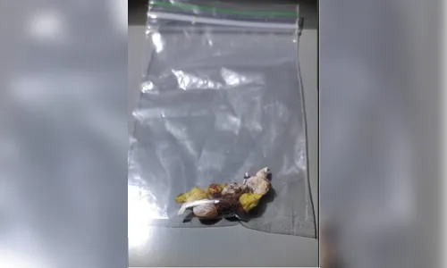 PM de Apucarana apreende crack com usuária da droga