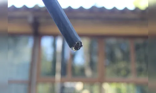 PM de Apucarana registra mais furtos de fios de cobre