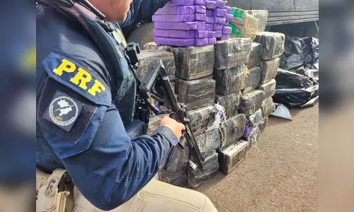 PRF apreende grande quantidade de maconha no PR
