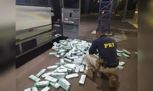 PRF apreende meia tonelada de maconha em ônibus no Paraná