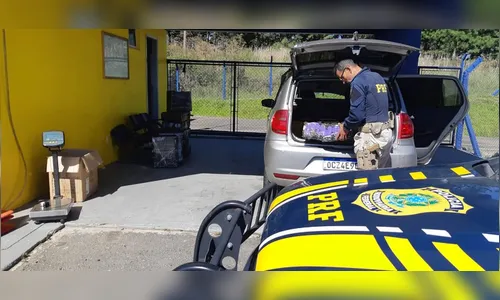 PRF prende jovem com carro roubado e 239 quilos de maconha