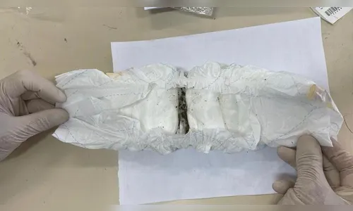 Pai esconde maconha na fralda do filho no Rio Grande do Sul