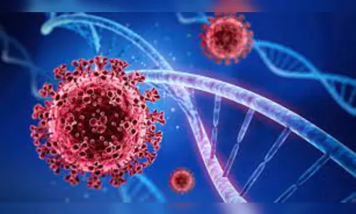 Paraná confirma 474 novos casos e 20 óbitos pela Covid-19