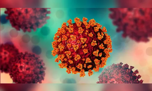 Paraná confirma mais 536 casos e quatro óbitos pela Covid-19