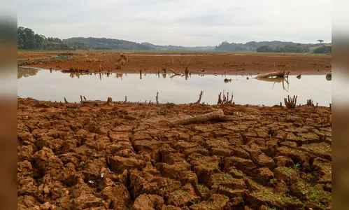 Paraná decreta emergência devido à estiagem