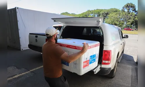 Paraná distribui mais 205 mil vacinas contra a Covid