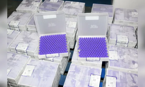 Paraná recebe 138 mil vacinas contra a Covid-19 nesta quarta